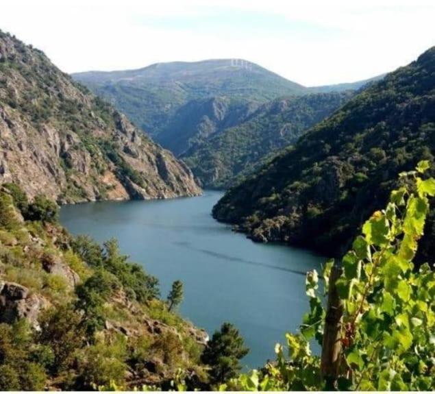 Apartamento Piso Ribeira Sacra Monforte De Lemos Exterior foto